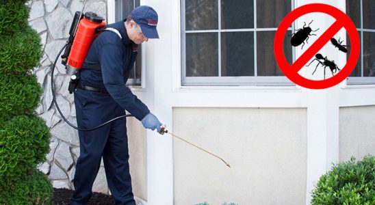 Samandağ Böcek İlaçlama böcek ilaçlama ve haşere kontrolü — ilaclama-tr.com